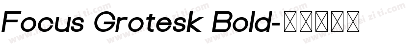 Focus Grotesk Bold字体转换